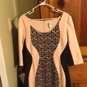 Sangria mid length very flattering dress peach dress with black spade design